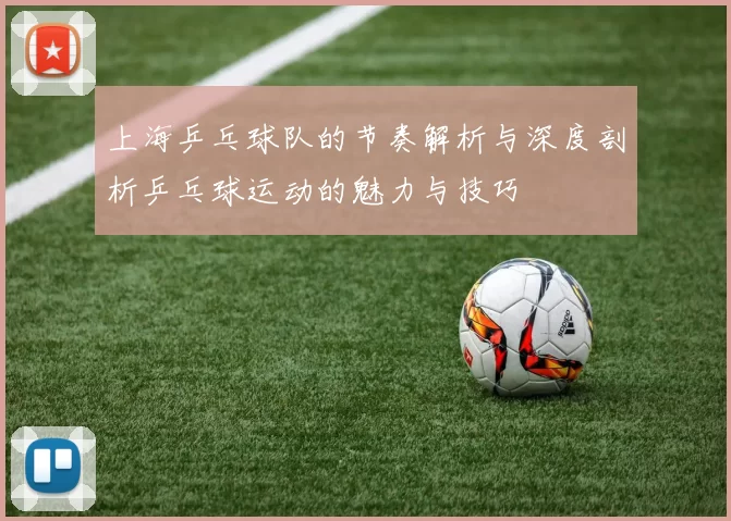 上海乒乓球队的节奏解析与深度剖析乒乓球运动的魅力与技巧