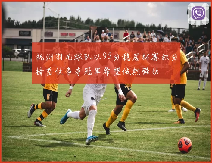 杭州羽毛球队以95分稳居杯赛积分榜首位争夺冠军希望依然强劲