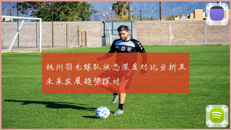 杭州羽毛球队状态深度对比分析及未来发展趋势探讨