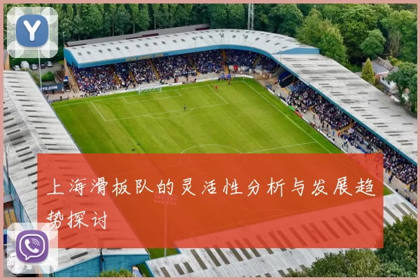 上海滑板队的灵活性分析与发展趋势探讨