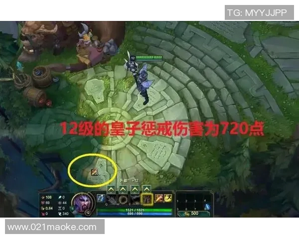 深入探讨RNG战队在比赛中的团队协作表现与数据分析结果